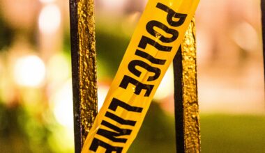 Boy, 15, charged with killing two animals in Chicago yard