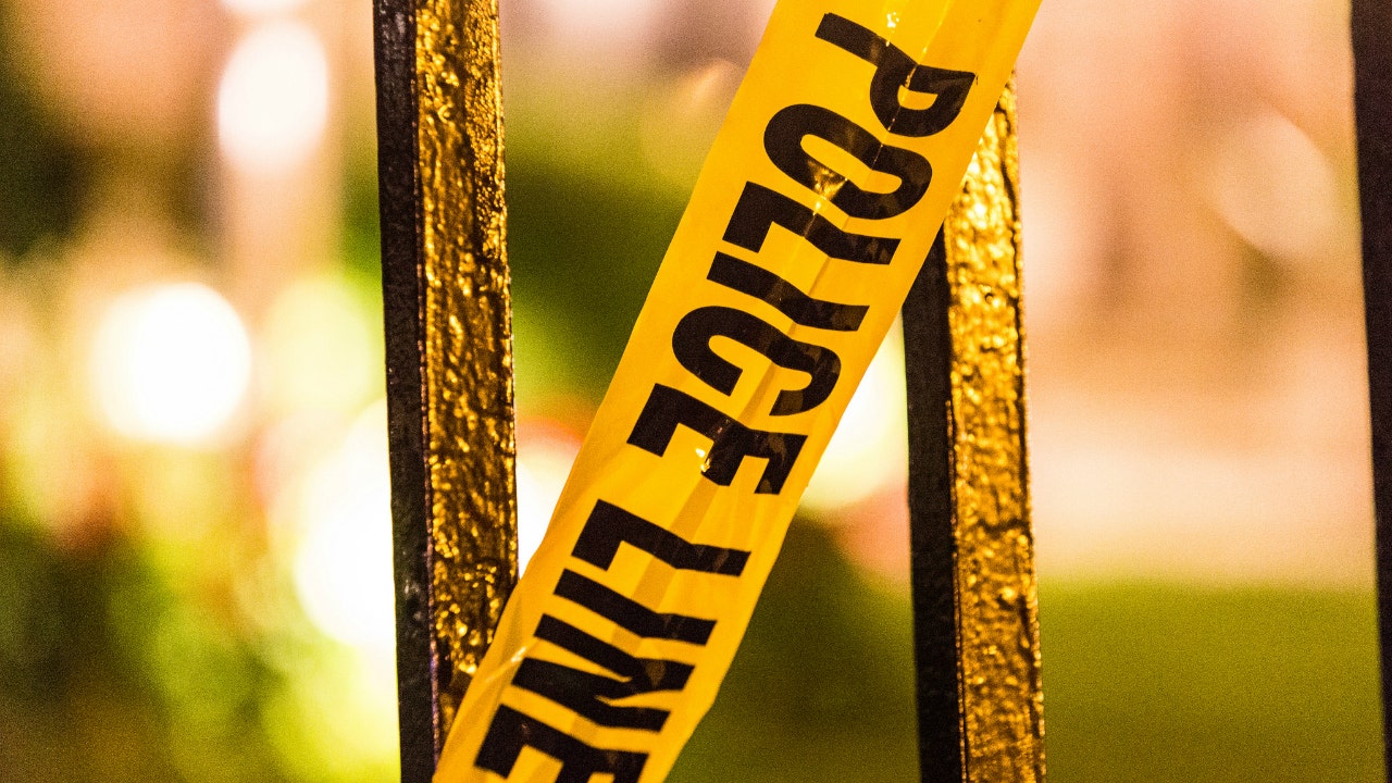 Boy, 15, charged with killing two animals in Chicago yard