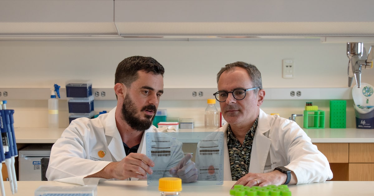 UT Southwestern researchers find cancer’s secret weapon to defeat death