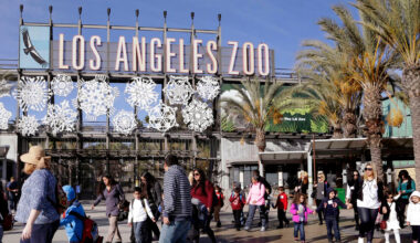LA council OKs $5 increase to zoo entrance fees – NBC Los Angeles