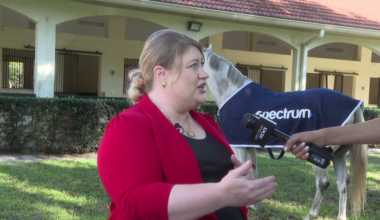 Marion County project brings high-speed internet to over 26,000 homes, businesses in Florida