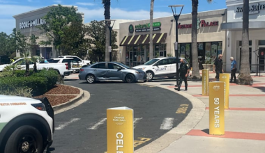 2 juveniles in stolen car take Clay County deputies on a chase, ending at Orange Park Mall