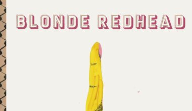 Blonde Redhead: The Shadow of the Guest Album Review