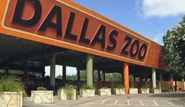 $1 tickets at the Dallas Zoo on these two days this summer – NBC 5 Dallas-Fort Worth