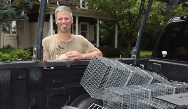 Business owner finds niche in humanely trapping nuisance animals