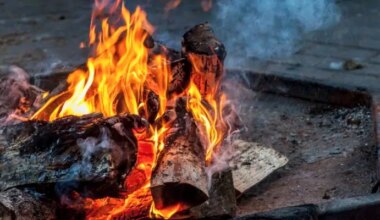 Province-Wide Fire Ban Lifted