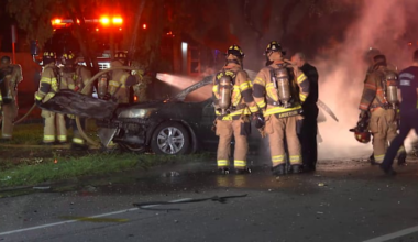 2 killed after driver crashes into tree, causing it to catch fire