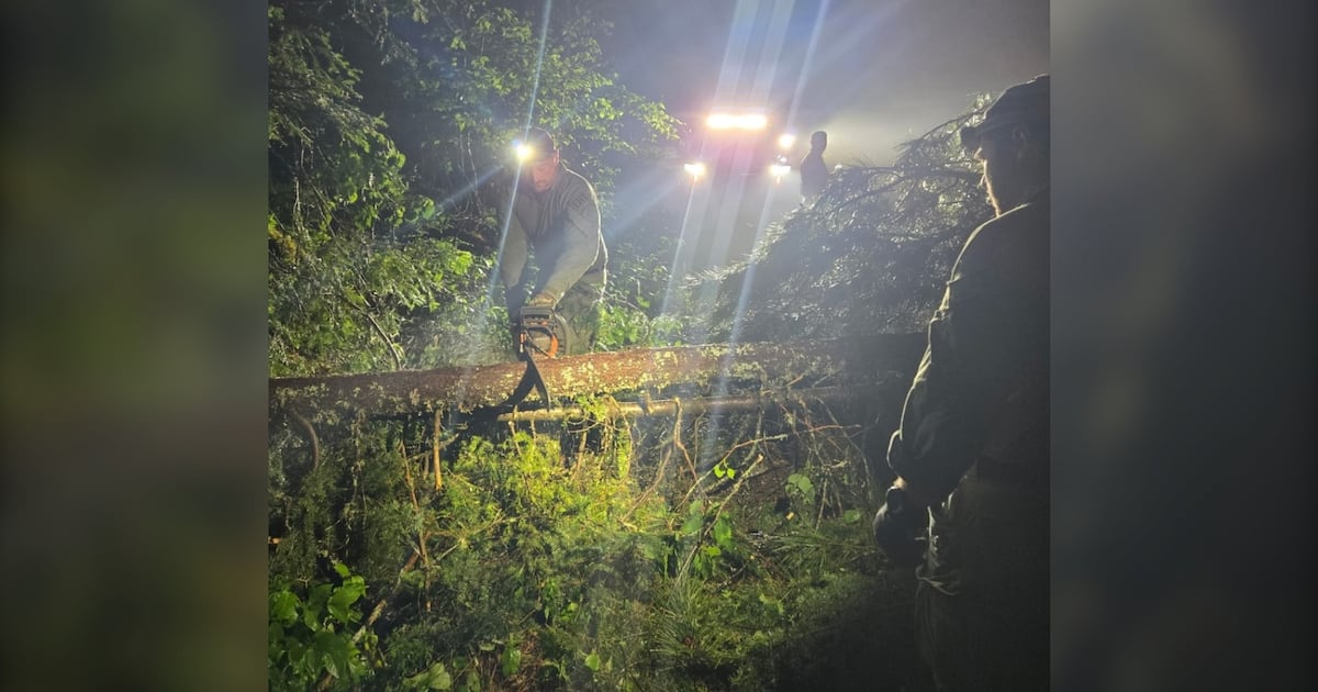 2 campers rescued from Algonquin Park after severe thunderstorm Saturday night - CTV News