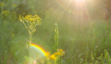How to Control Your Fear of Death or Thanatophobia