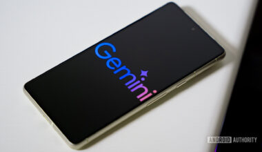 Gemini app activity email
