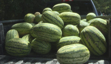 Newton County FFA hosts weekend farmer’s market