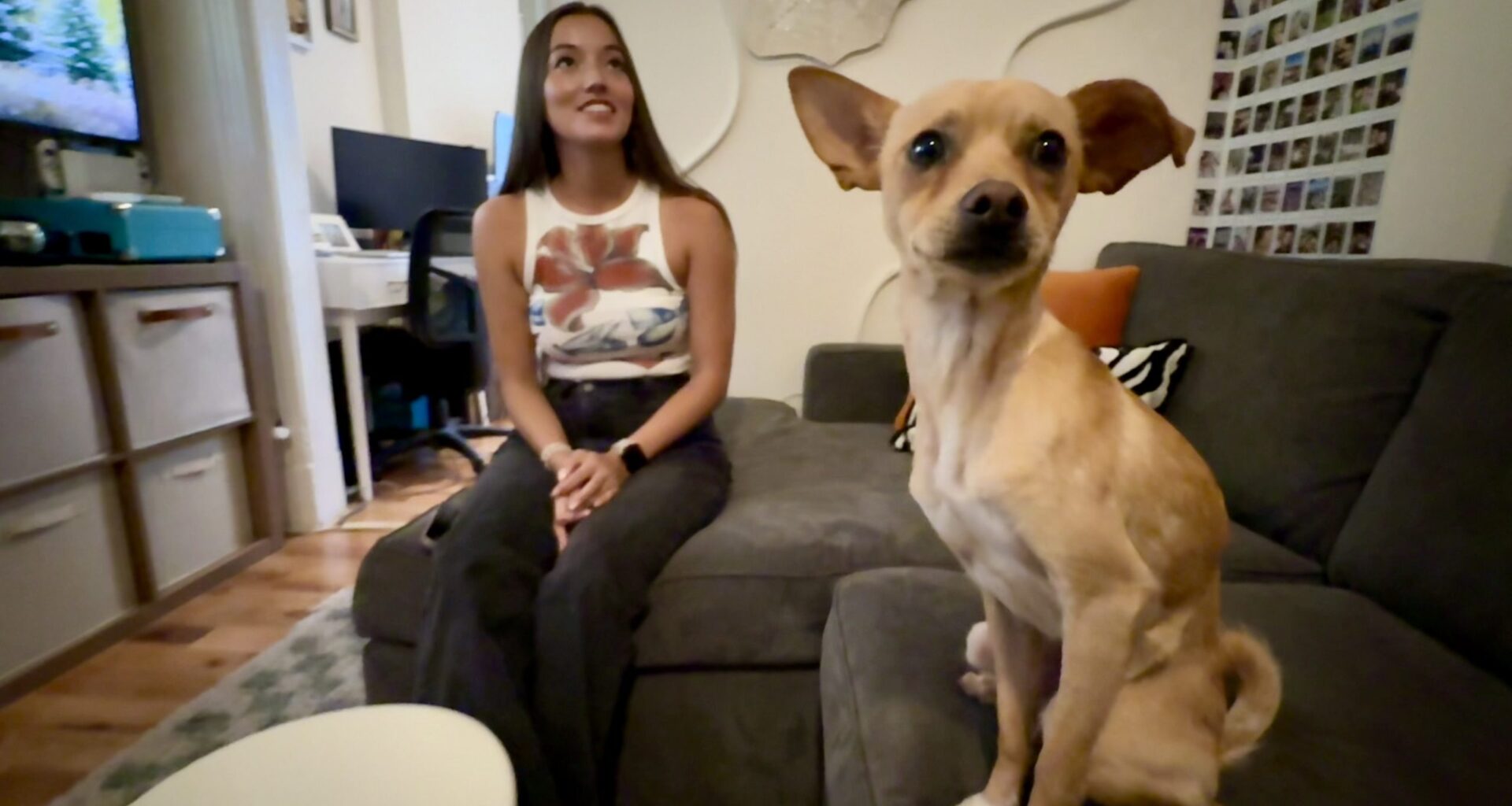 Chili the Dog Survives After 10 Days Lost, is Rescued from River by Kayakers
