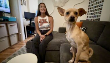 Chili the Dog Survives After 10 Days Lost, is Rescued from River by Kayakers