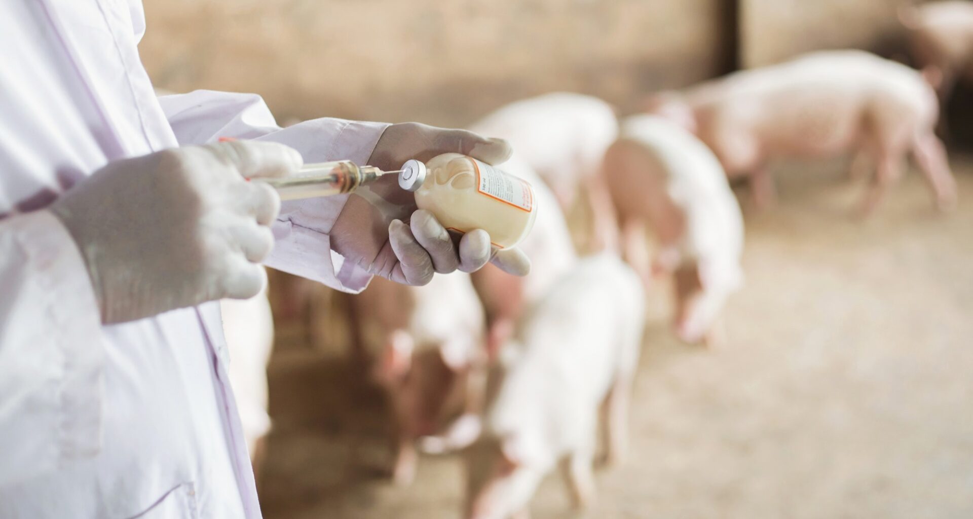 Study: The ionophore resistance genes narA and narB are geographically widespread and linked to resistance to medically important antibiotics. Image Credit: Thammachak Sotiya / Shutterstock