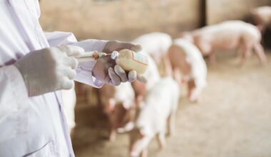 Study: The ionophore resistance genes narA and narB are geographically widespread and linked to resistance to medically important antibiotics. Image Credit: Thammachak Sotiya / Shutterstock