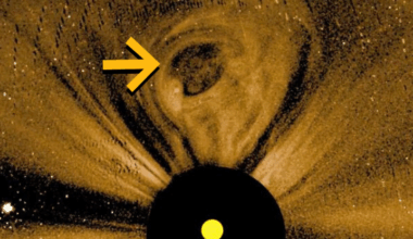 Jaw-Dropping Explosions on The Sun Captured in First NASA PUNCH Images : ScienceAlert