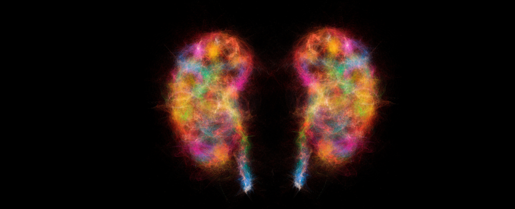 Parkinson's Disease Might Not Start in The Brain, Study Finds : ScienceAlert