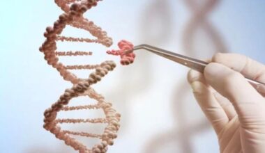 Gene Editing Tools Market