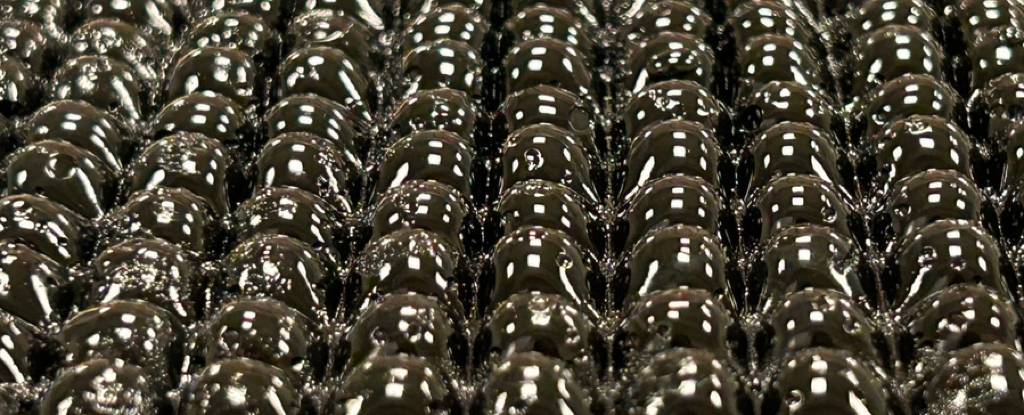 This Strange 'Bubble Wrap' Can Produce Drinking Water in The Desert : ScienceAlert