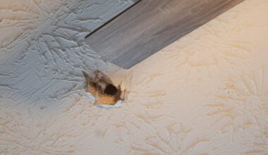 ‘Fireball’ in sky may have crashed through home, officials say