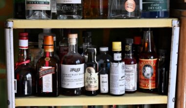 Hold alcohol vendors liable for damage caused by drunken patrons – San Diego Union-Tribune