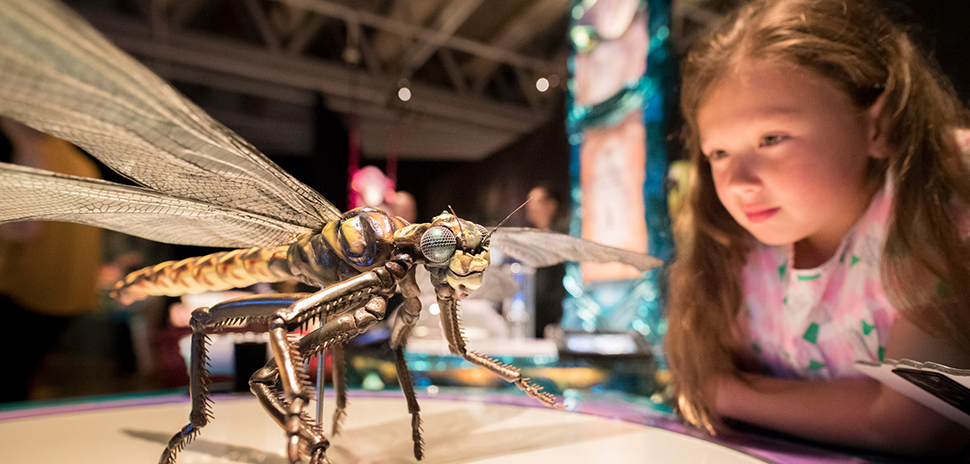 Perot Museum's 'Bug Lab' Spotlights Insect Innovation » Dallas Innovates