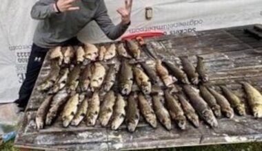 Man had too many trout, say environment officers