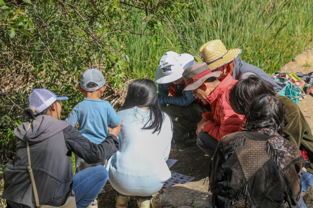 San Jose's Alum Rock Park hit by ‘BioBlitz’