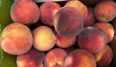 File photo of fresh peaches. (Spectrum News 1)