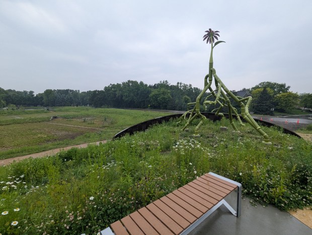 A sculpture of a flower/roots in a field.