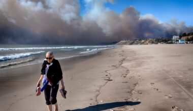 Fire destroyed part of Los Angeles. But this could prevent rebuilding it. – Daily Bulletin
