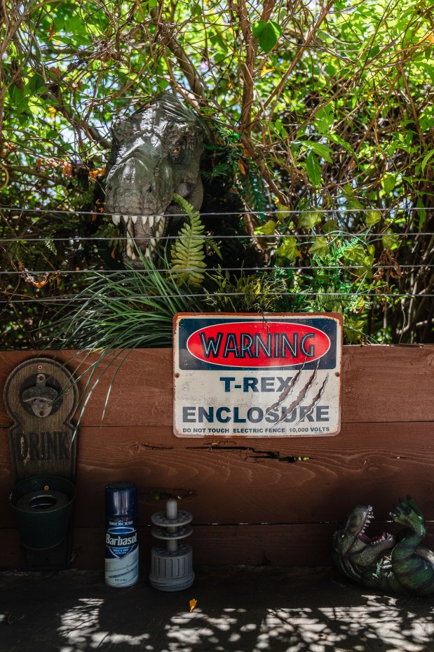 The “Jurassic World” part of the backyard features sights and...