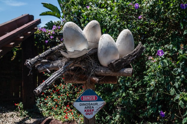 Dinosaur sculpture eggs are just one of many intricately designed...