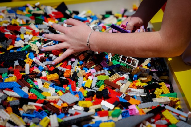 A contestant picks out Lego bricks during the "Lego Masters" competition at Legoland California on Sunday, June 22, 2025 in Carlsbad. The popular TV show features teams of Two building Lego projects from a vast array of bricks and parts to meet both creative and practical goals set by the challenge for a particular episode. (Photo by Sandy Huffaker for The San Diego Union-Tribune)