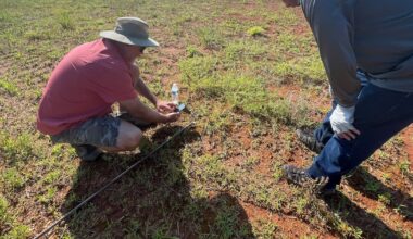 Meteorite hunters chase treasures after fireball streaks across Georgia