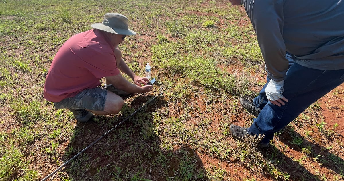 Meteorite hunters chase treasures after fireball streaks across Georgia