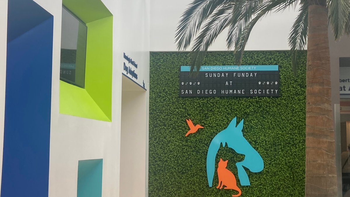 San Diego Humane Society offers free microchipping ahead of Fourth of July – NBC 7 San Diego