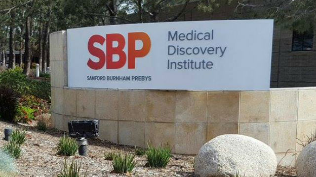 Prebys Foundation hosts panel on federal medical research cuts