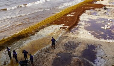 10 Steps Needed for Ocean Action Now