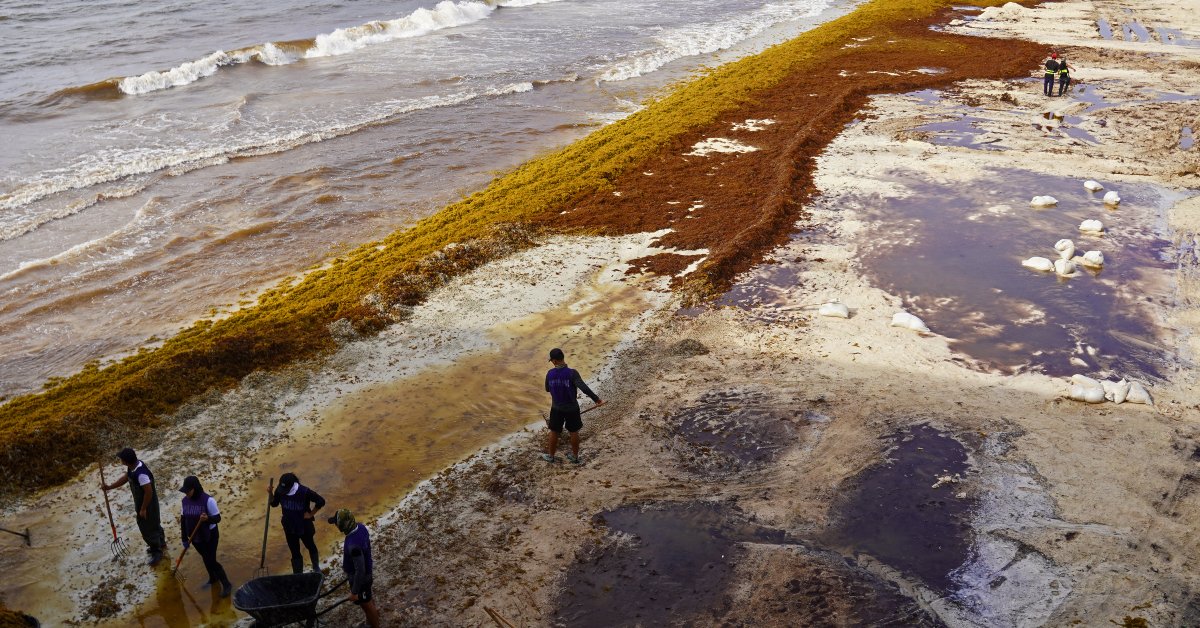 10 Steps Needed for Ocean Action Now