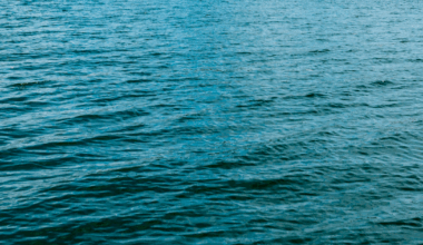 Body recovered from Lake Michigan near 63rd Street Beach, police say