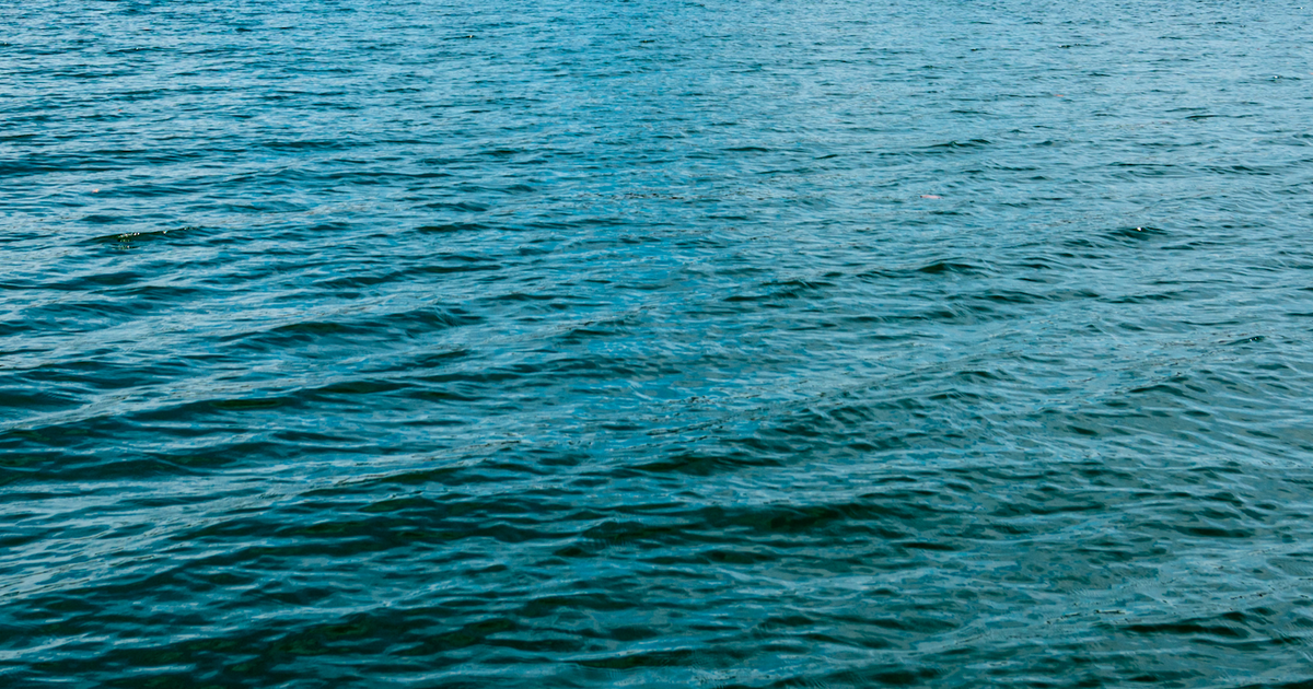 Body recovered from Lake Michigan near 63rd Street Beach, police say