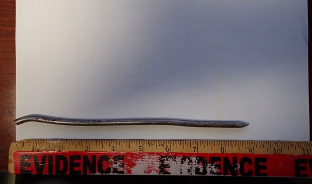 A sharpened metal rod found in Raymond Minaya's jail cell. (DOJ)