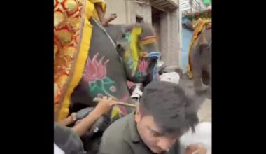 Elephant Goes on Rampage, Charges Crowd in India