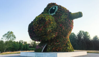POTOMAC, MD - JULY 10, 2017: Jeff Koonss sculpture Split-Rocker at Glenstone is composed of tens of thousands of flowering plants. This side is the dinosaur side, which is made up of magenta, orange, and yellow flowers. (Photo by Jennifer Heffner for The Washington Post via Getty Images)