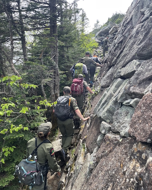 NYS DEC forest ranger report for week of June 15-22, 2025
