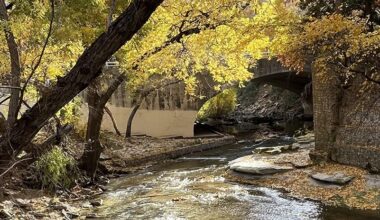 On Preserving Turtle Creek's Iconic Bridges Amid $2B in Development Projects » Dallas Innovates