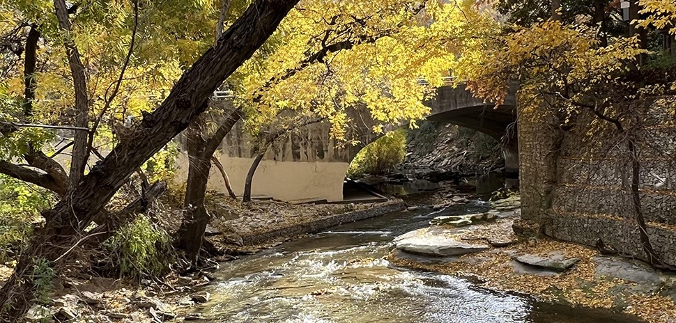 On Preserving Turtle Creek's Iconic Bridges Amid $2B in Development Projects » Dallas Innovates