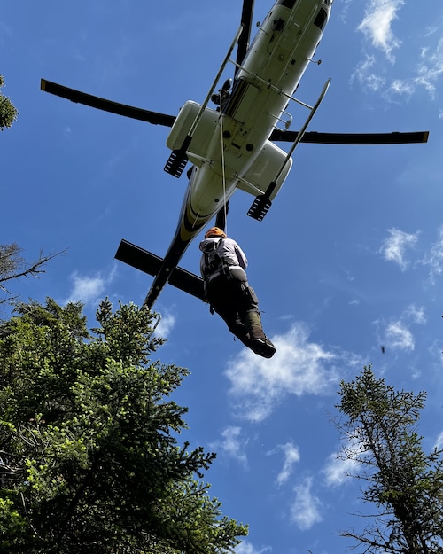 NYS DEC forest ranger report for week of June 15-22, 2025