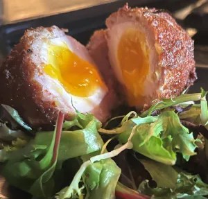 Scotch egg